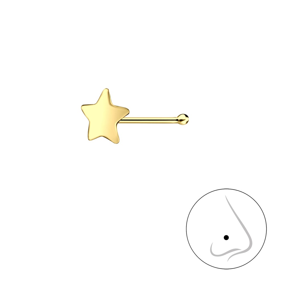 Silver Star Nose Stud With Ball
