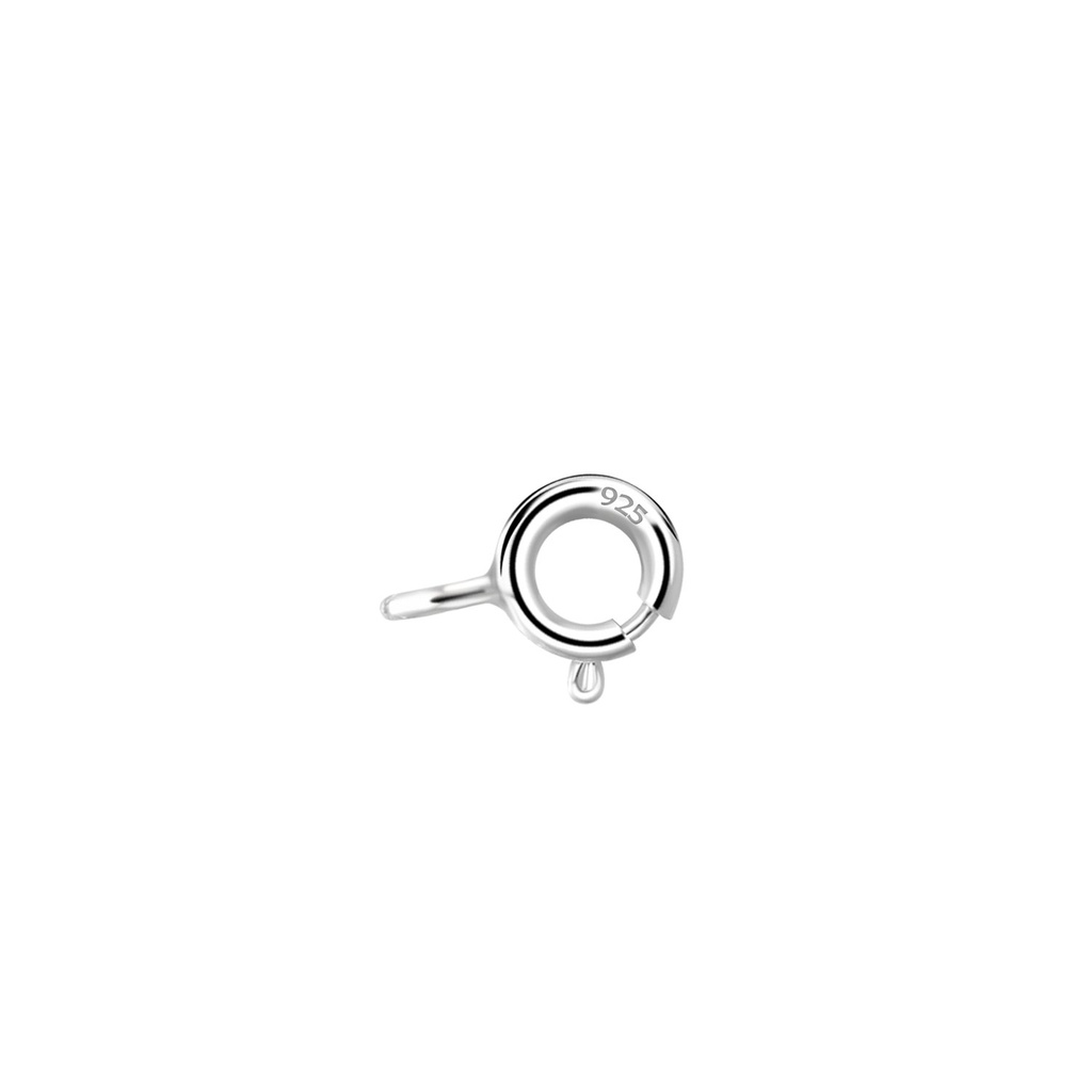 [10032543] Fermoir à ressort en argent, lot de 10