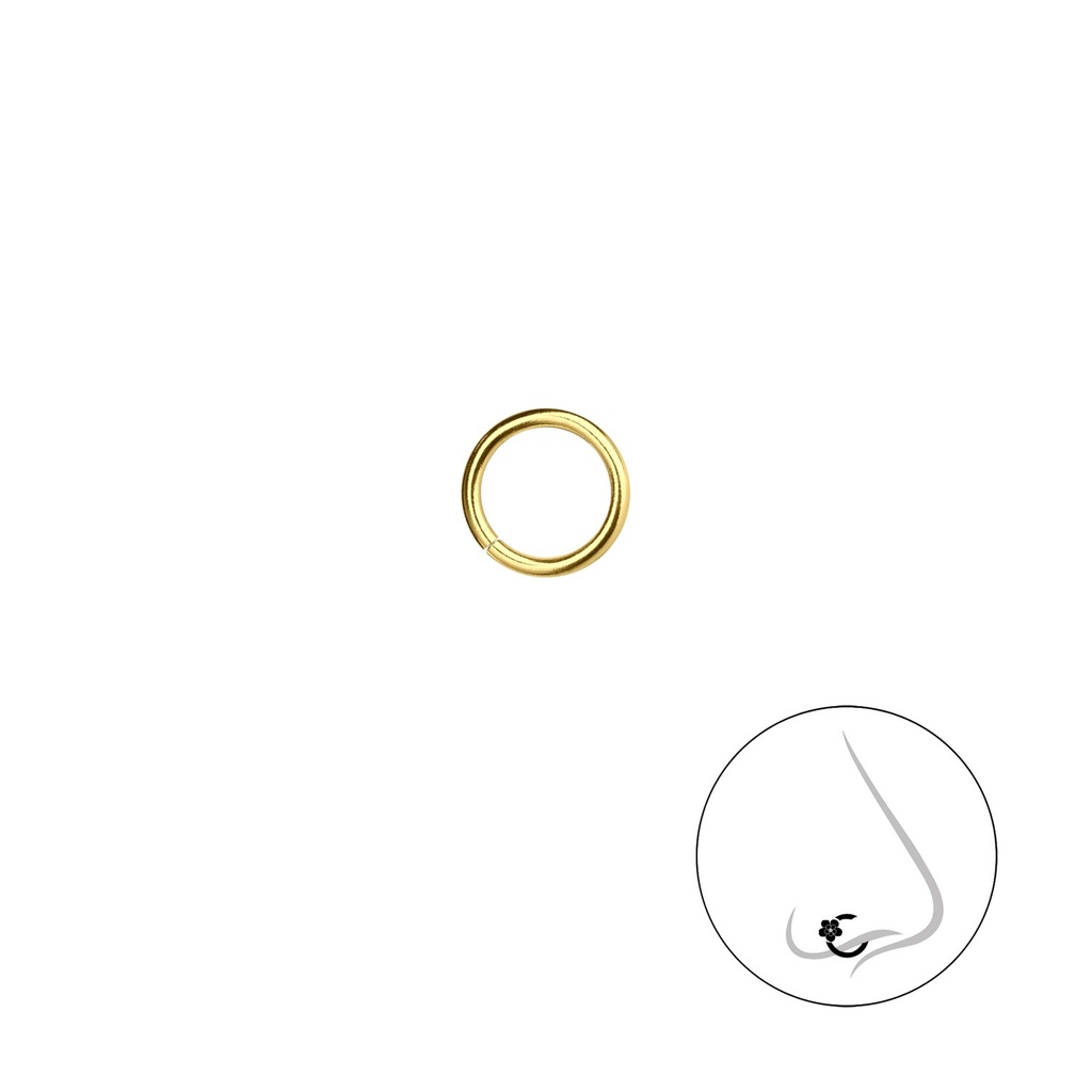 Anneau de nez lisse 6 mm