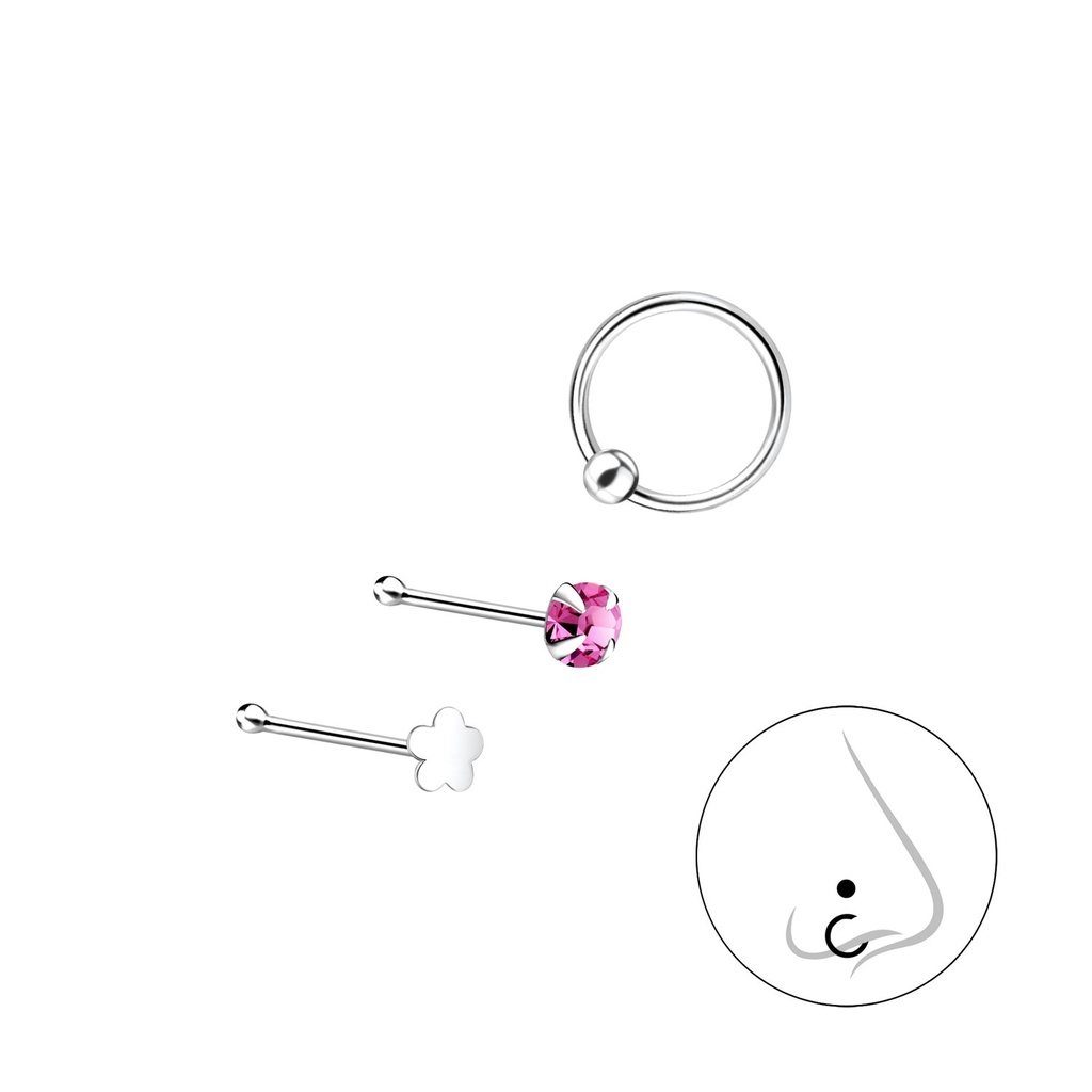 Lot de bijoux de nez assortis en argent