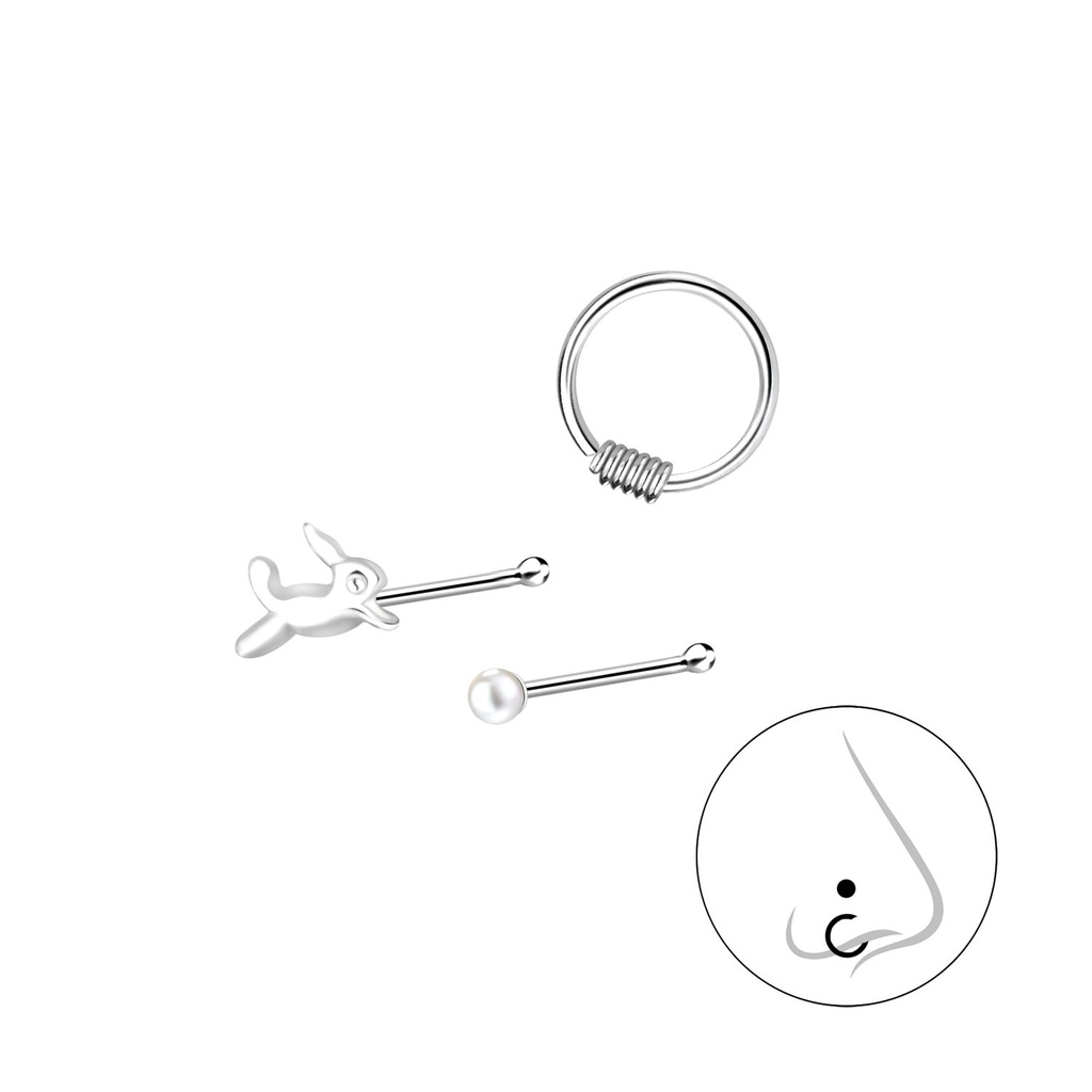 [10014266] Lot de bijoux de nez assortis en argent