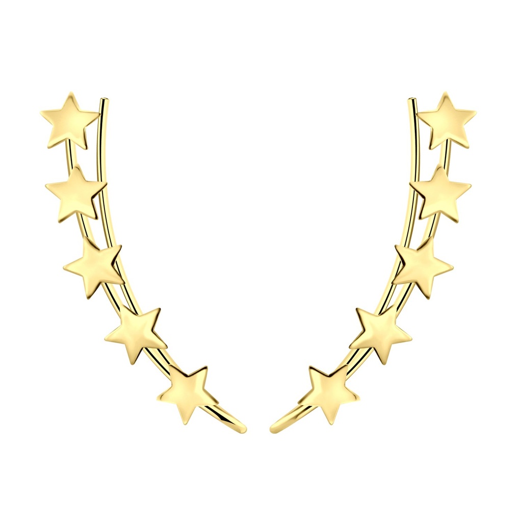 Grimpeurs d'oreille étoile en argent