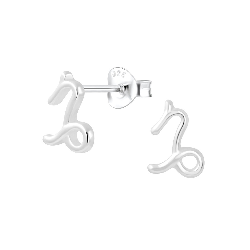 Silver Capricorn Zodiac Sign Stud Earrings
