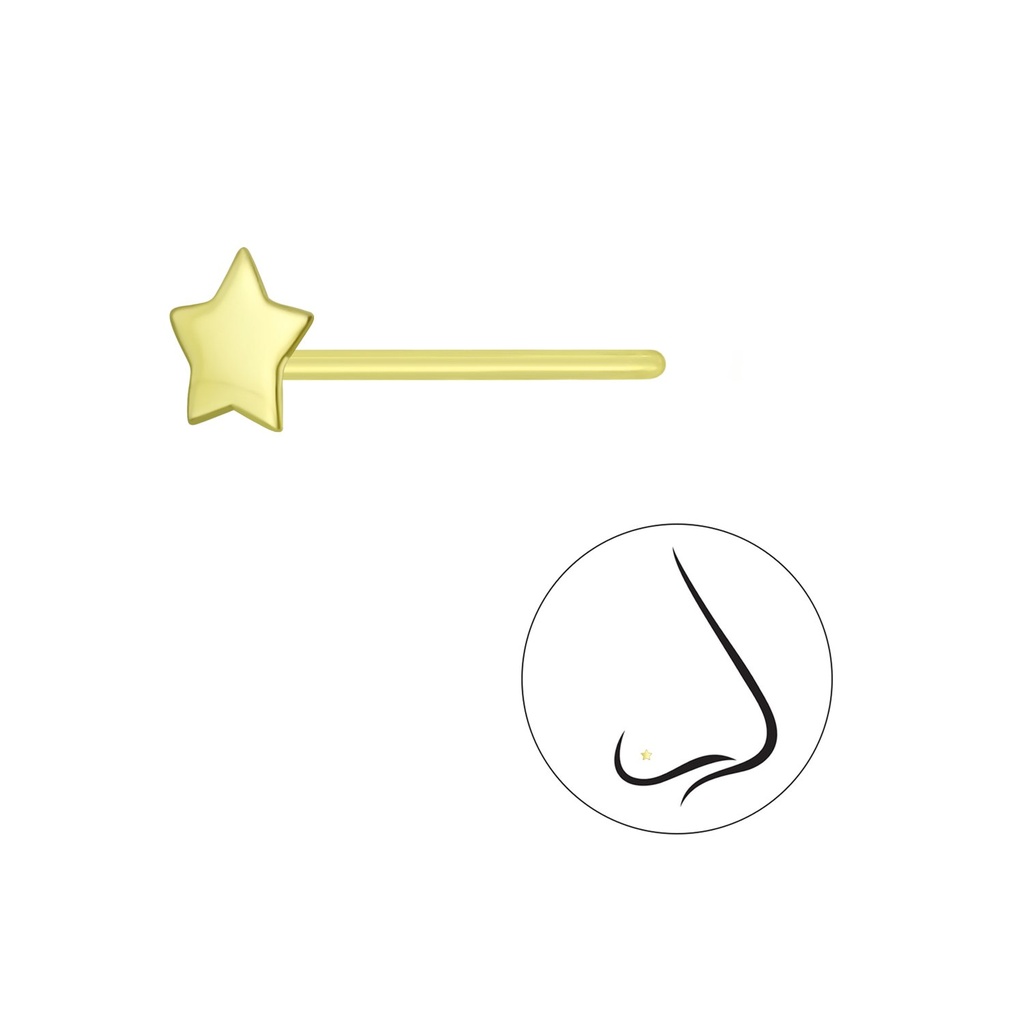 Silver Star Nose Stud