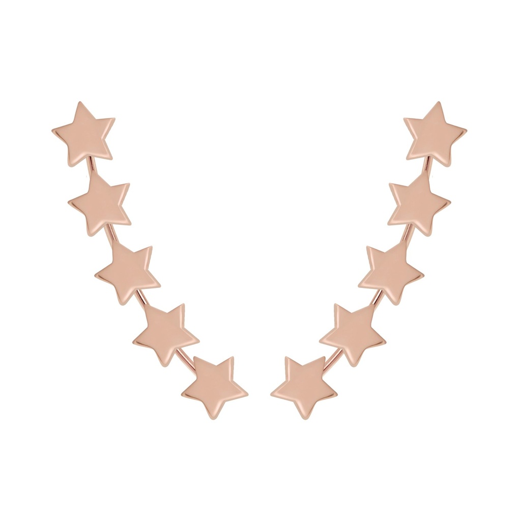 Grimpeurs d'oreille étoile en argent
