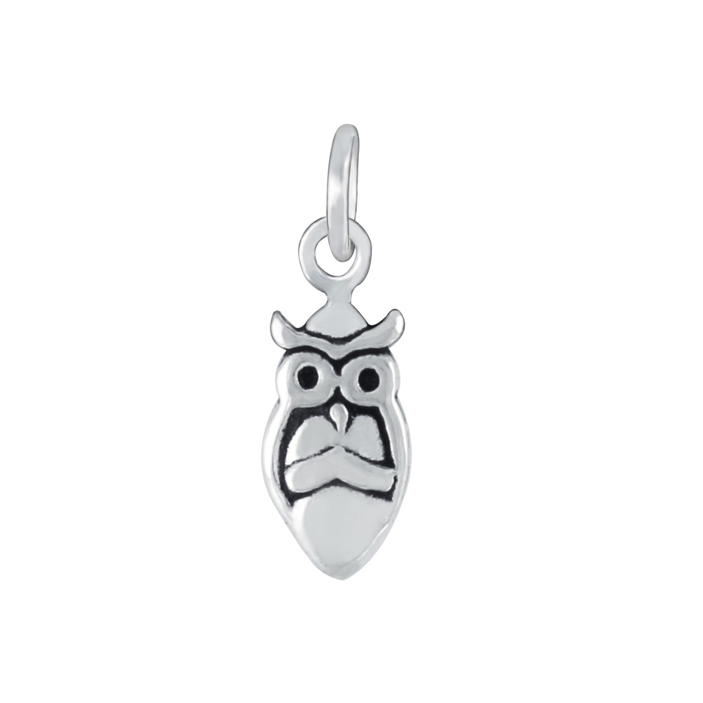 Pendentif hibou en argent