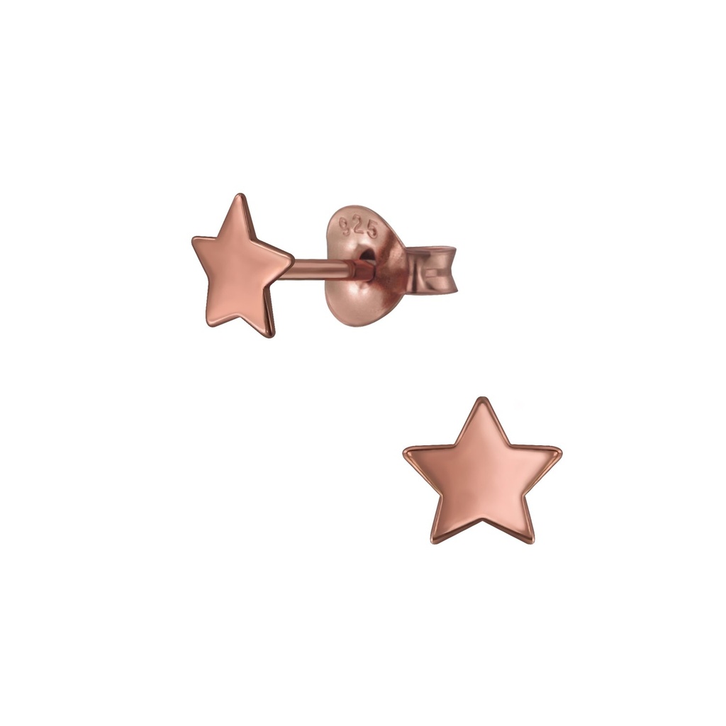 [10001652] Puces d'oreilles étoile en argent