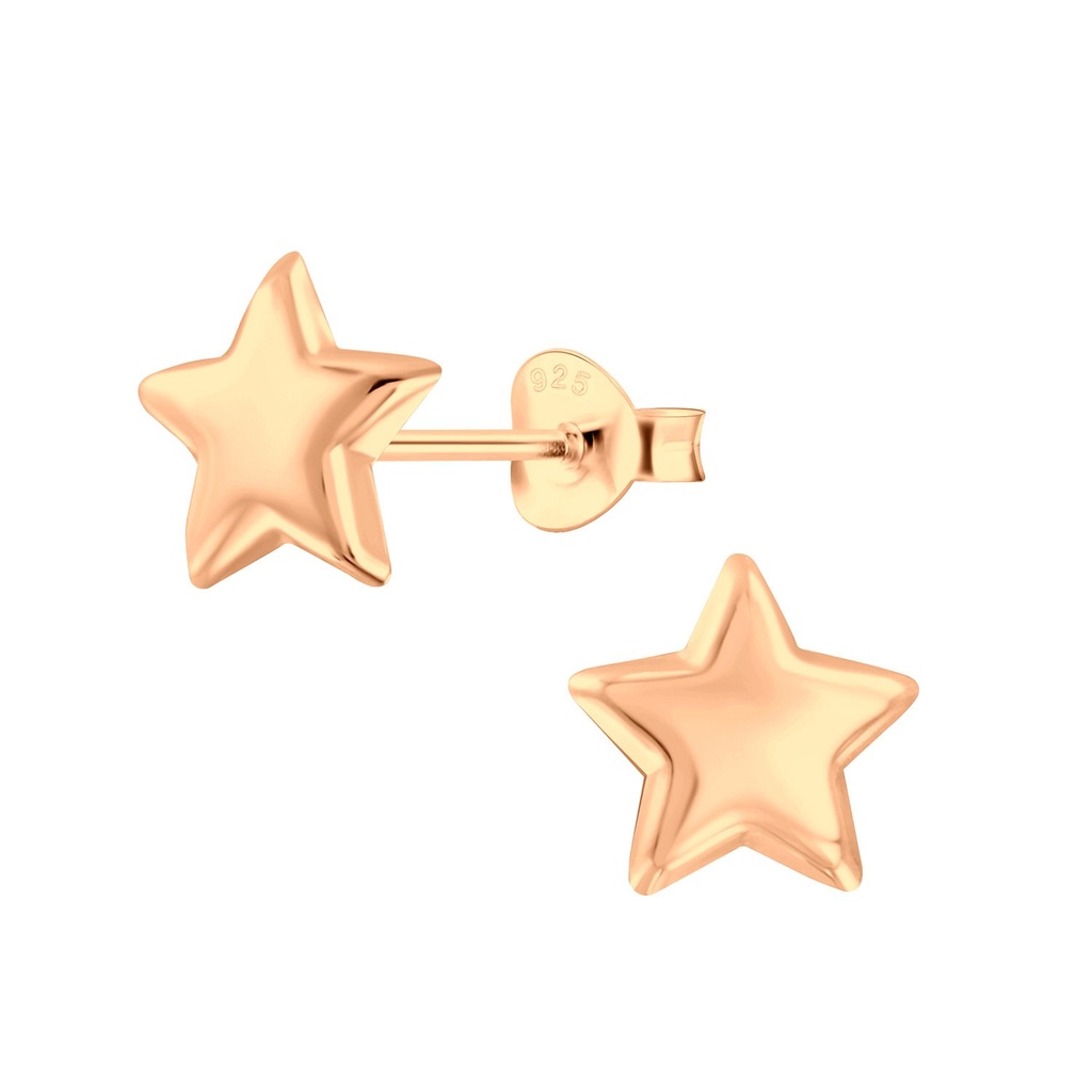 Puces d'oreilles étoile en argent
