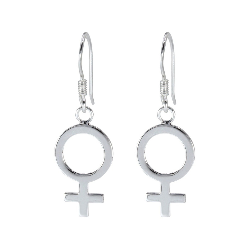 Boucles d'oreilles signe masculin en argent