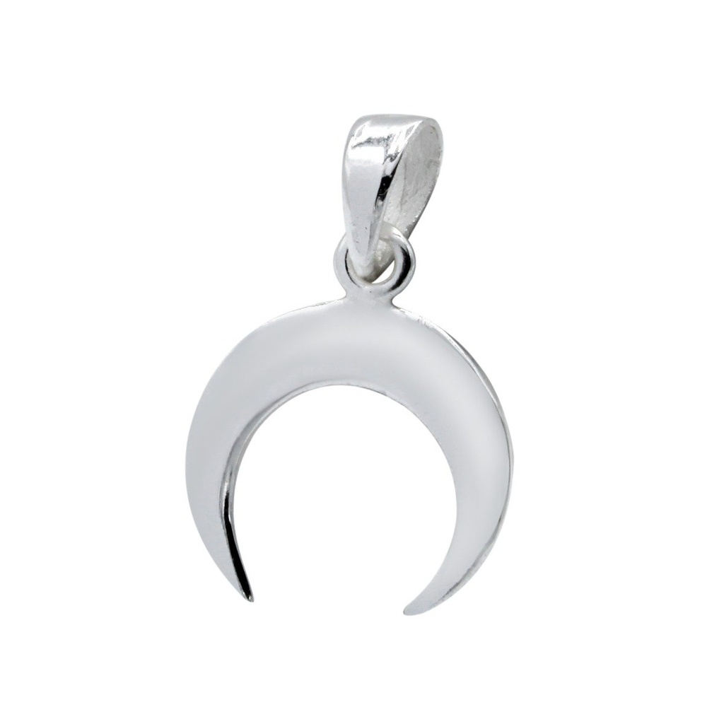Pendentif corne en argent